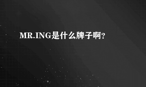 MR.ING是什么牌子啊?