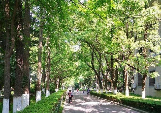 同班17人被空军录取,这个班级的老师是怎么教育学生的?