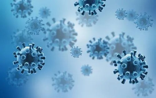 31省区市新增本土确诊5例,这些病例遍布在哪里?