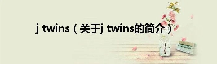 j twins（关于j twins的简介）