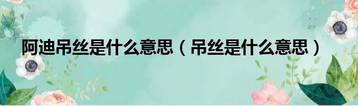 阿迪吊丝是什么意思(吊丝是什么意思)