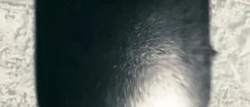 一吨TNT炸药的威力有多大?