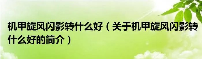 机甲旋风闪影转什么好（关于机甲旋风闪影转什么好的简介）