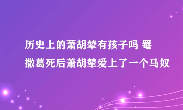 历史上的萧胡辇有孩子吗 罨撒葛死后萧胡辇爱上了一个马奴