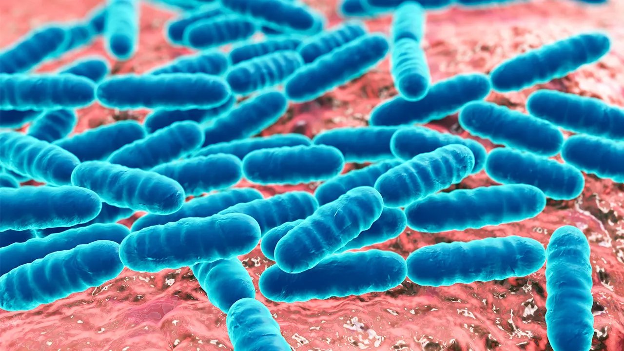 手足口病由什么引起的