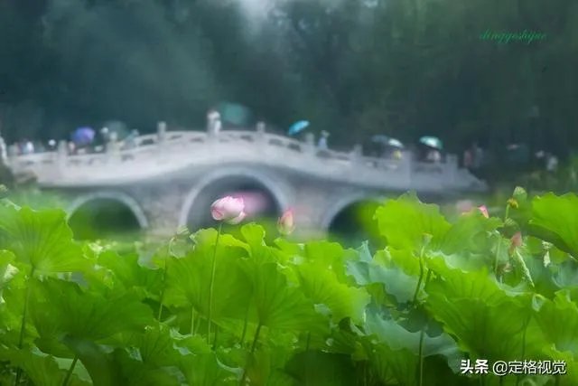 增距镜如何使用?