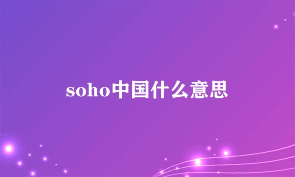 soho中国什么意思