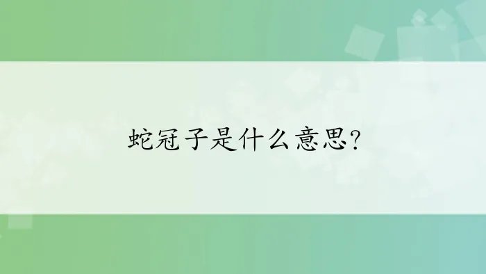 蛇冠子是什么意思？