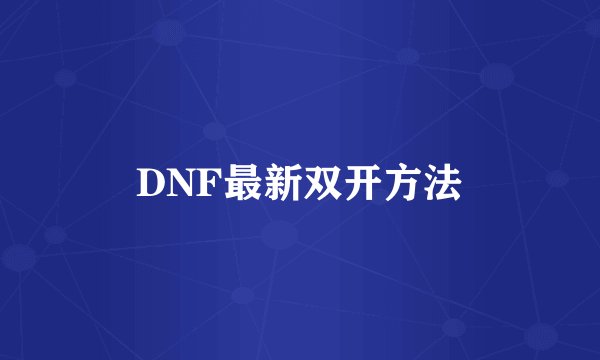 DNF最新双开方法