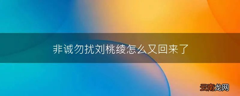 非诚勿扰刘桃绫怎么又回来了