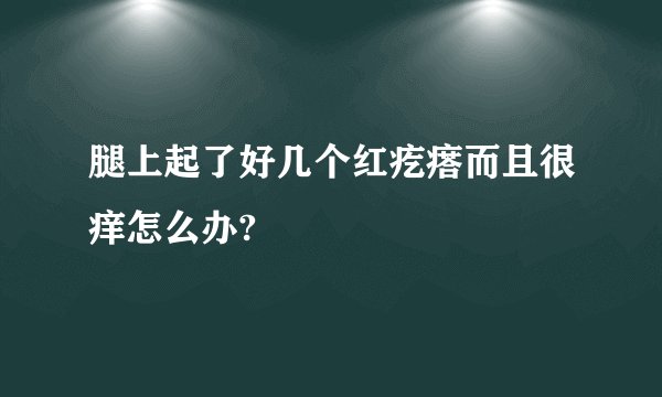 腿上起了好几个红疙瘩而且很痒怎么办?