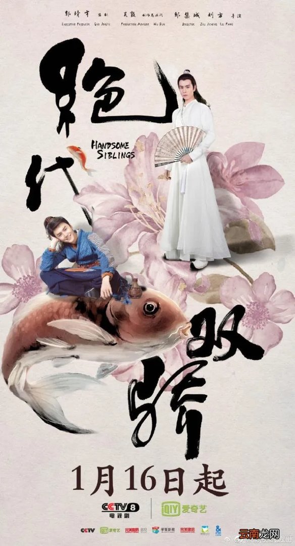 有部是娄艺潇主演的 娄艺潇电视剧