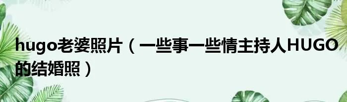 hugo老婆照片（一些事一些情主持人HUGO的结婚照）