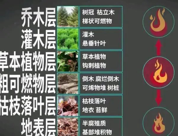 为什么四川凉山再发山火呢?