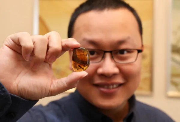 科学家发现迄今最小的恐龙,这种恐龙的生活习性是什么样的?