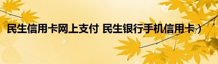 民生信用卡网上支付 民生银行手机信用卡）