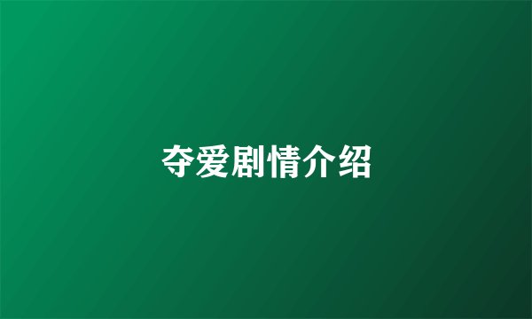 夺爱剧情介绍