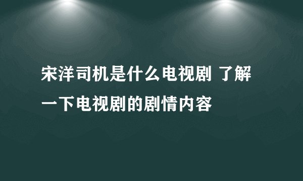 宋洋司机是什么电视剧 了解一下电视剧的剧情内容