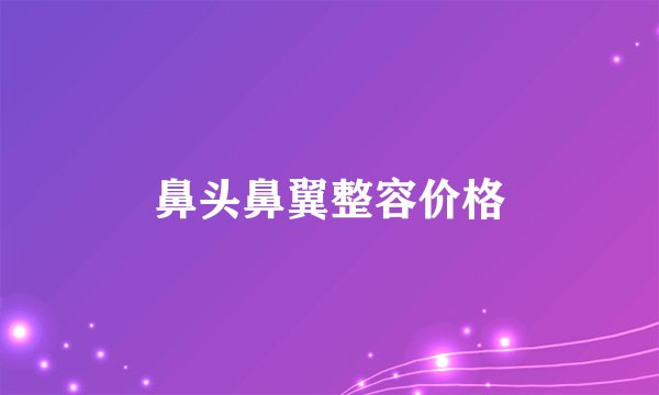 鼻头鼻翼整容价格