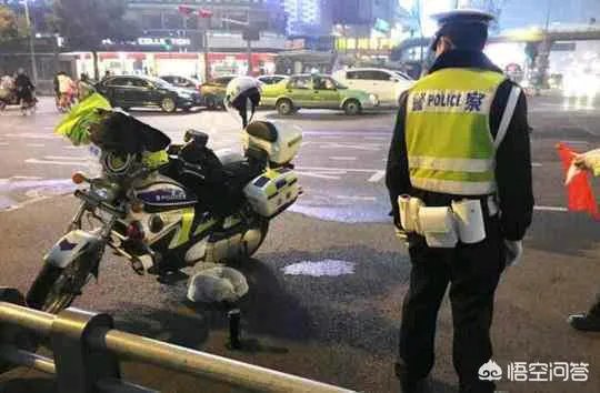 如何看待成都街头流浪小狗求助辅警，守候路边等他下班，最终被收养？