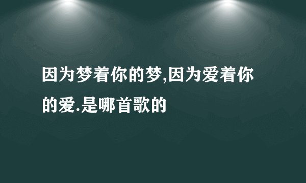 因为梦着你的梦,因为爱着你的爱.是哪首歌的