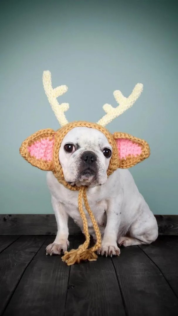 大学生盗室友电脑合理嘛？