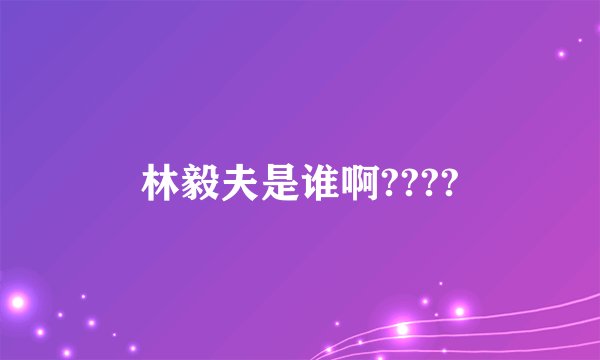 林毅夫是谁啊????