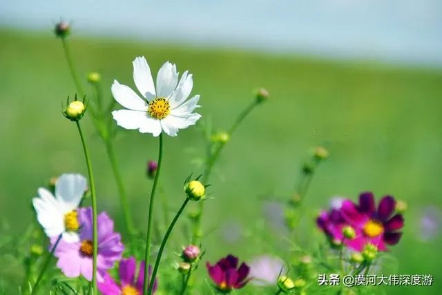 沙漠罕见8月降雪