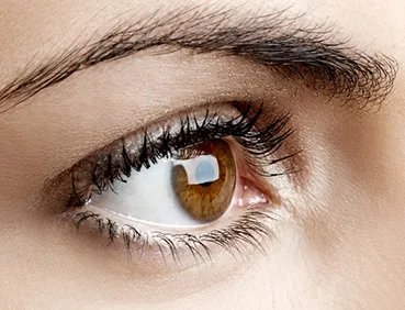 上睑下垂术费用