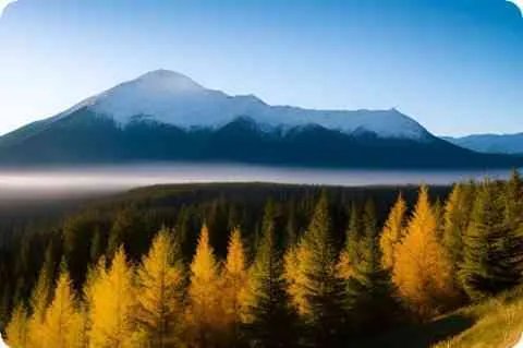 杨致远现在有多少钱个人资产2019?杨致远如今身价现在在做什么