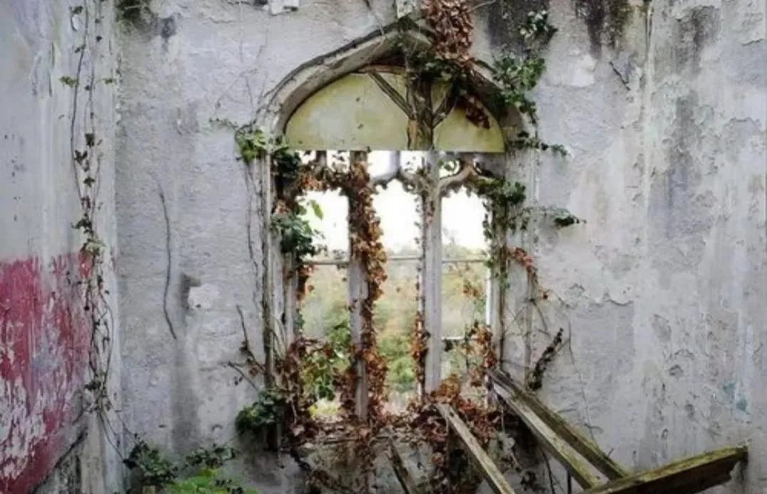 美国加州的温切斯特神秘屋，竟然有10000扇窗户950扇门！