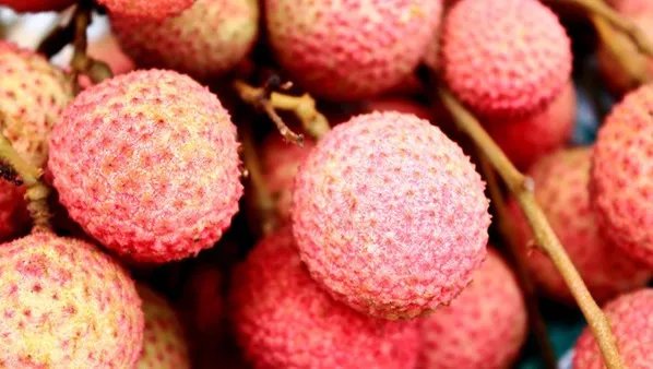 吃什么食物壮阳