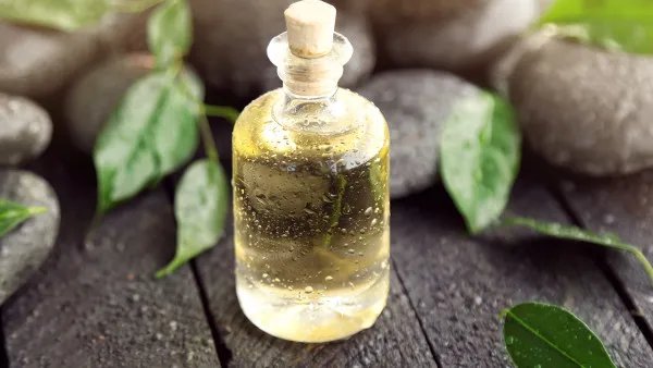 女性冬季养生喝什么茶?5款冬季养生茶好喝又健康