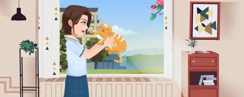 ​为什么猫咪能像液体一样 猫咪的寿命是多少年