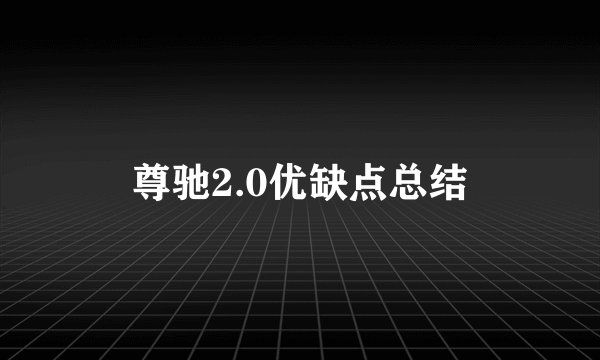 尊驰2.0优缺点总结