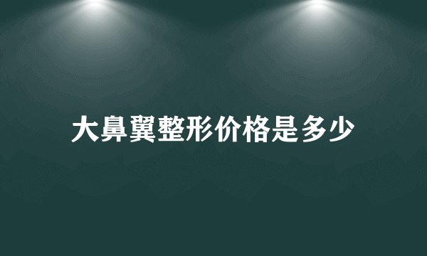 大鼻翼整形价格是多少