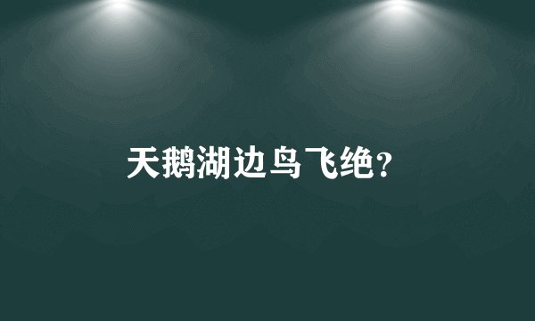 天鹅湖边鸟飞绝？