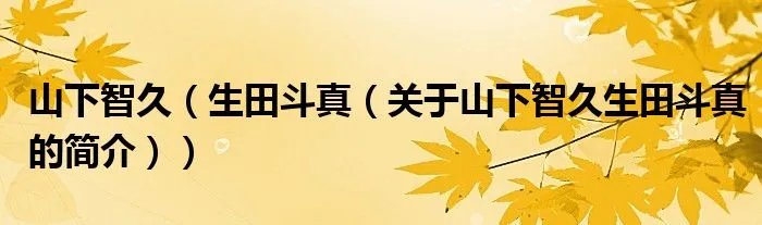 山下智久（生田斗真（关于山下智久生田斗真的简介））