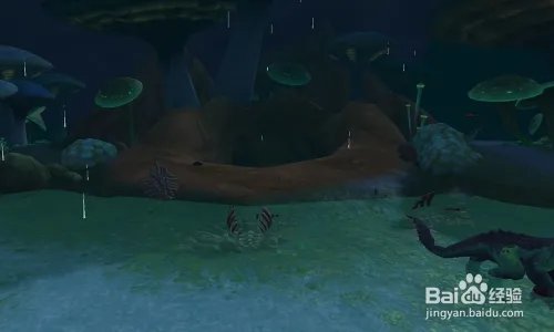 瓦拉沙的蛋怎么做/瓦拉沙的卵怎么做