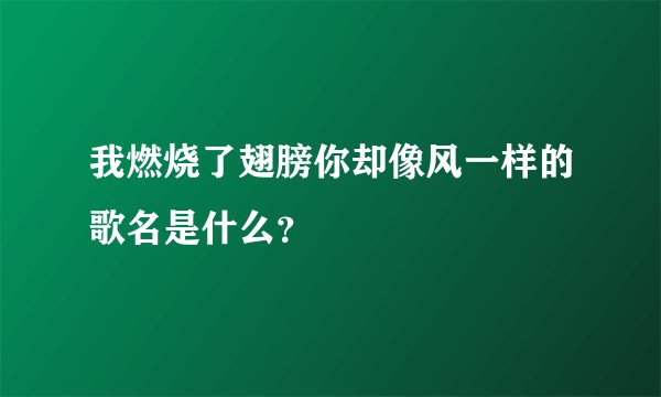 我燃烧了翅膀你却像风一样的歌名是什么？