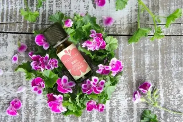 精油瘦身法 瘦身精油怎么选择