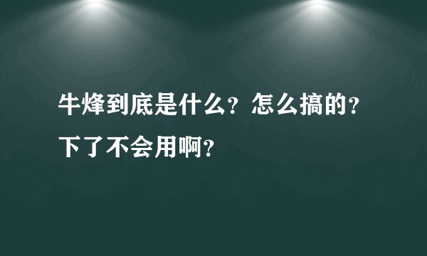 牛烽到底是什么？怎么搞的？下了不会用啊？
