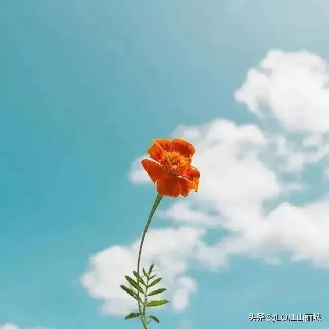 网传李小璐PGone跳同款舞,你怎么看?