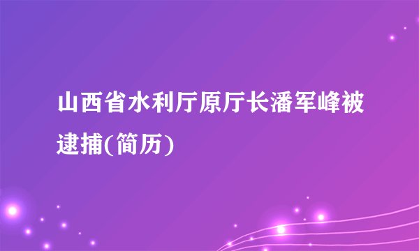 山西省水利厅原厅长潘军峰被逮捕(简历)