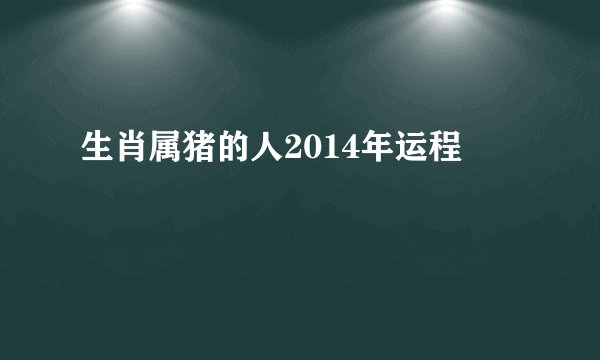 生肖属猪的人2014年运程