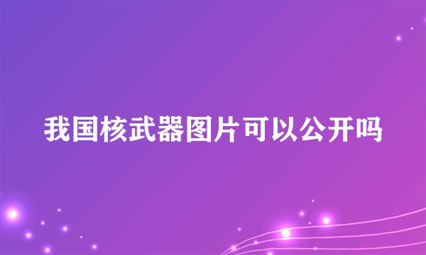 我国核武器图片可以公开吗