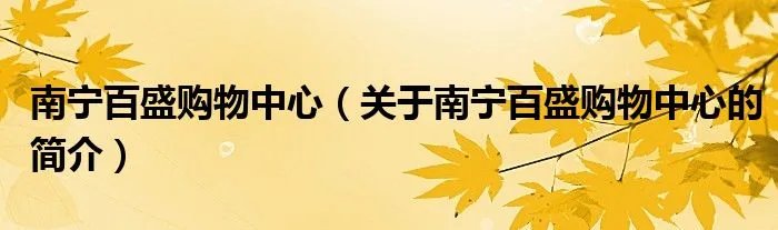 南宁百盛购物中心（关于南宁百盛购物中心的简介）