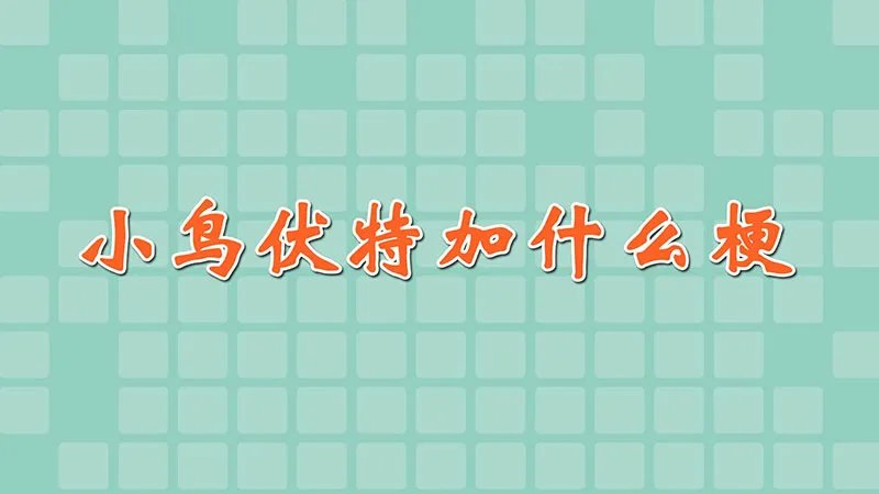 小鸟伏特加什么梗