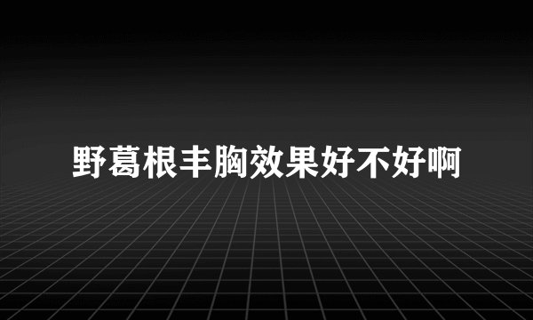 野葛根丰胸效果好不好啊