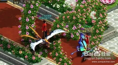 4399《泰坦之王》微操新体验玩法